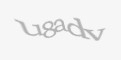 Código de segurança